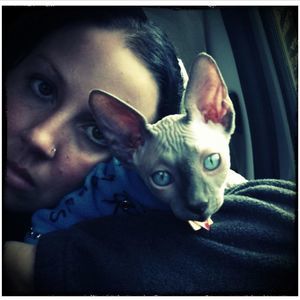 Meet your Posher, Joni